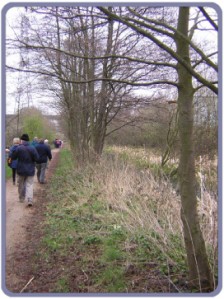 Reeds: Pleasant Walk