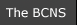 The BCNS